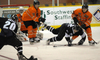  Bison 3, Rhinos 2 